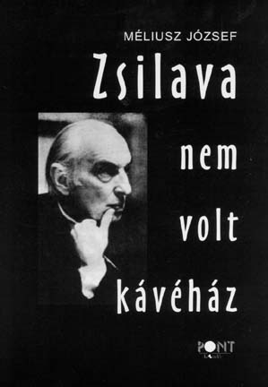 Zsilava nem volt kávéház