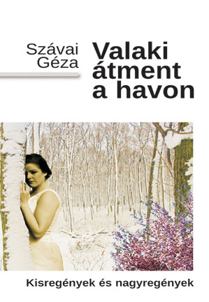 Valaki átment a havon